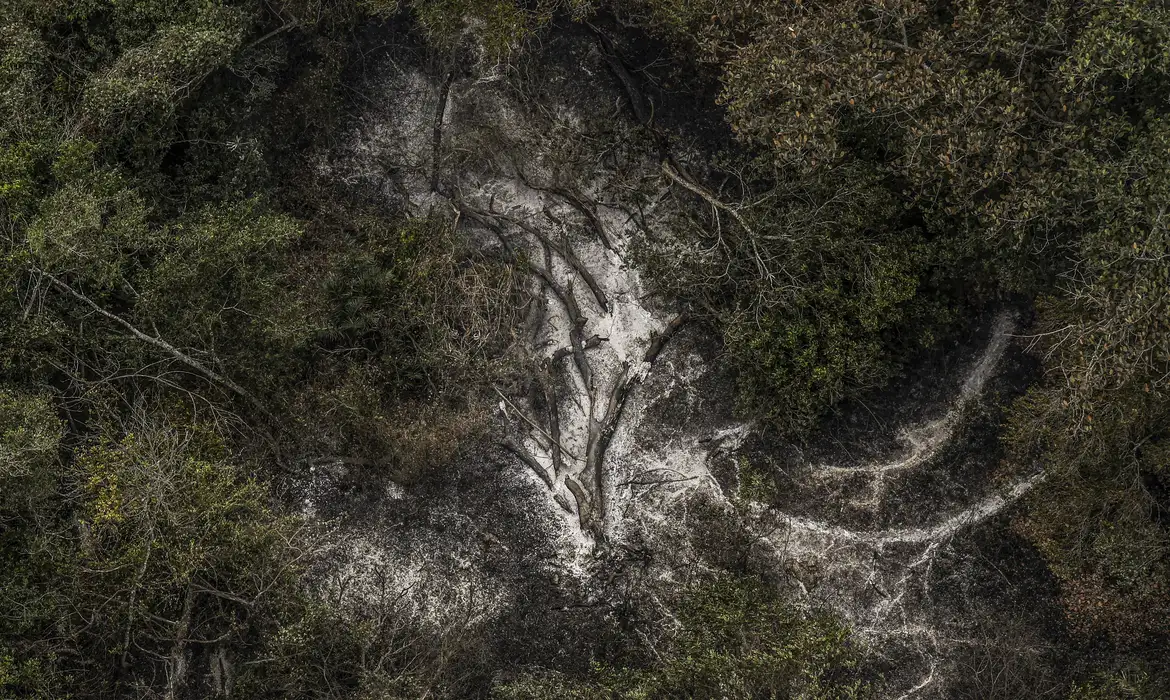 agu-danos-ambientais-pantanal