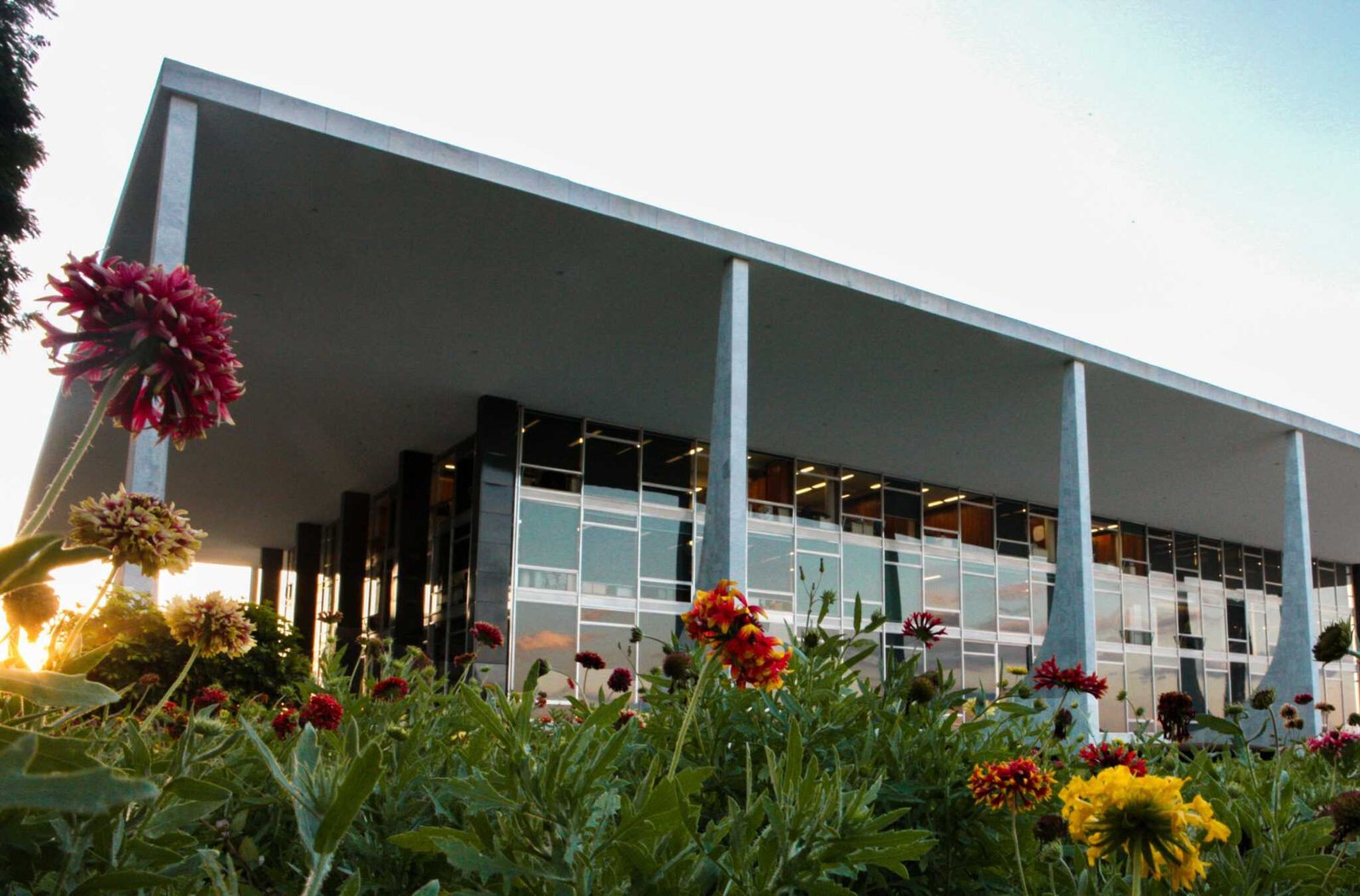 Foto: Gil Ferreira/STF