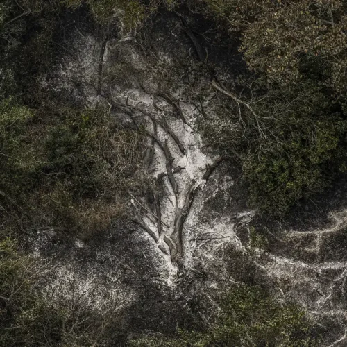 © Marcelo Camargo/Agência Brasil