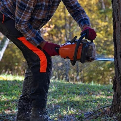 Operador de motosserra descumpriu regras de segurança e família não receberá indenização por sua morte